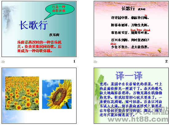 查看预览图