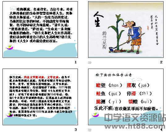 查看预览图