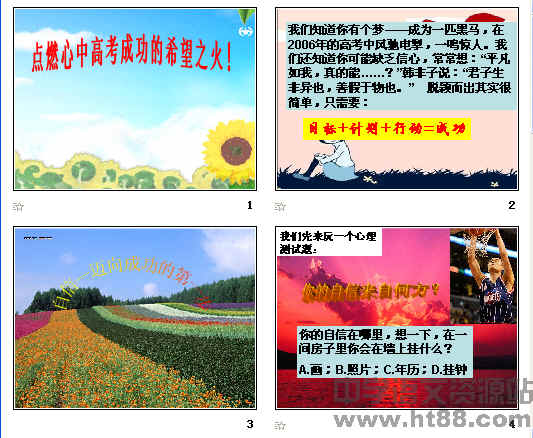 查看预览图