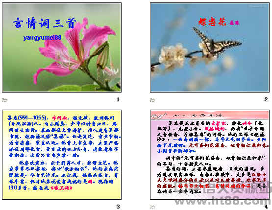 查看预览图