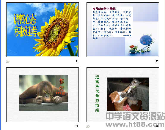查看预览图