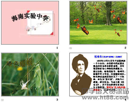 查看预览图