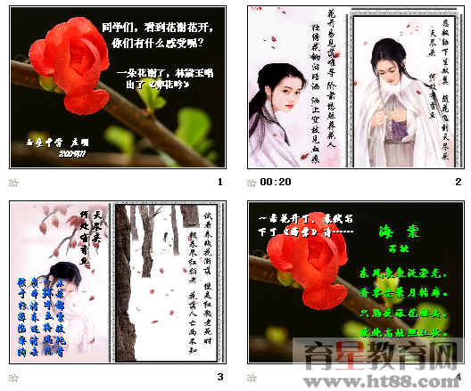 查看预览图