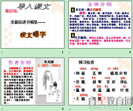 查看预览图