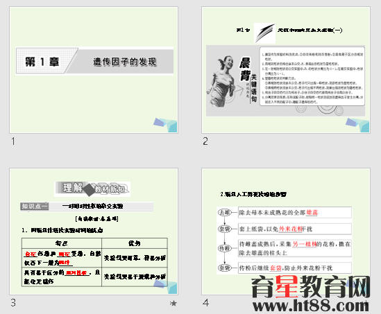 查看预览图