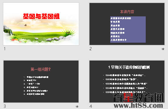 查看预览图